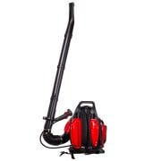 Palmera EB-650 EURO5 Üfleme Makinası Sırt Tipi